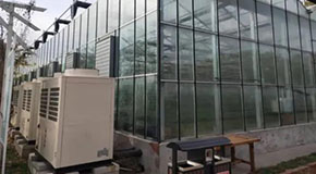 世界杯2022预选赛的特殊应用领域--大棚采暖/水产养殖/畜牧养殖