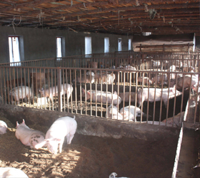 养殖场恒温空气能热水工程解决方案