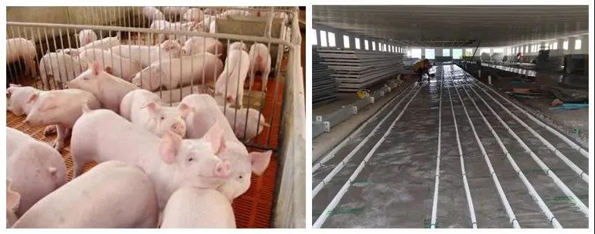 世界杯2022预选赛